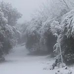 Etna 1703 Nocleg ze śniadaniem *