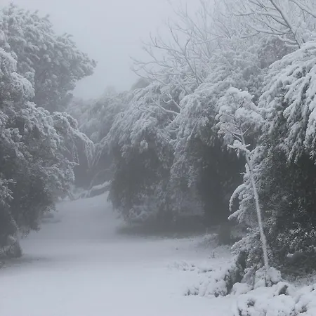 Etna 1703 Couette-café *