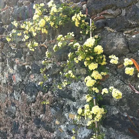 Etna 1703 Couette-café