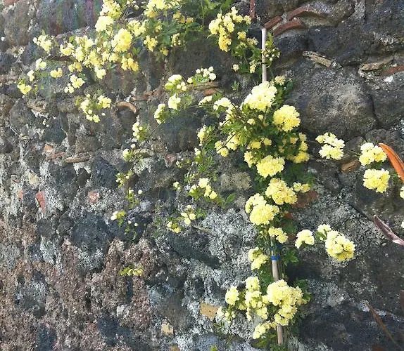 Etna 1703 Отель типа 