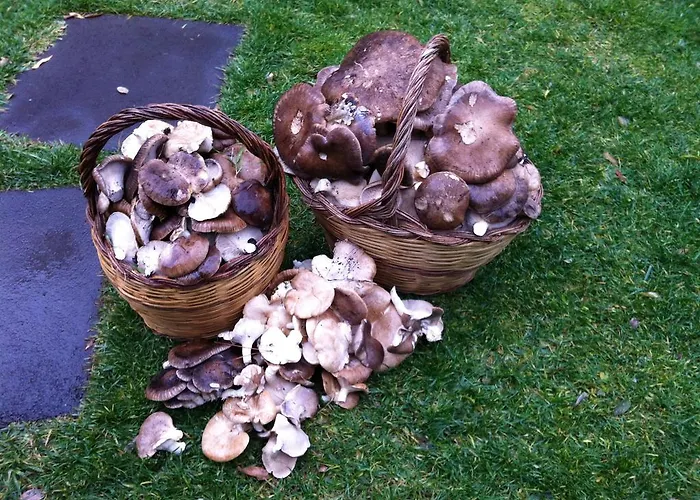 Etna 1703 Бельпассо