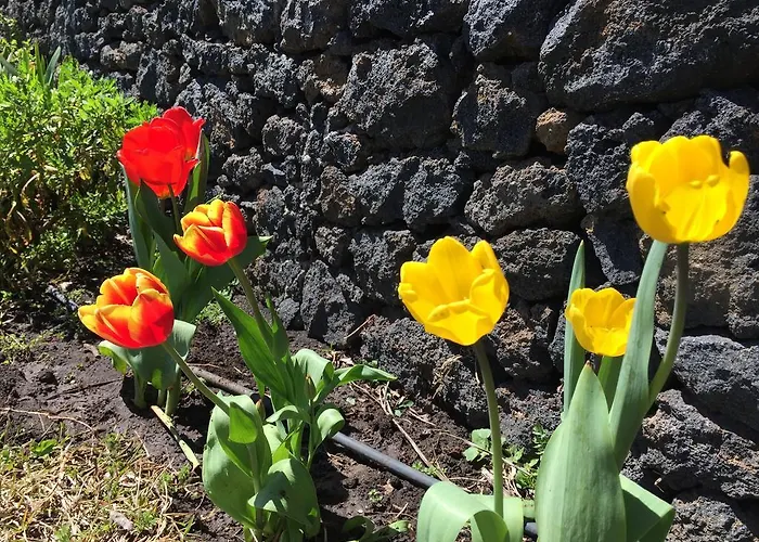 Etna 1703 Отель типа 
