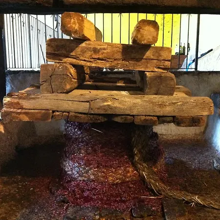 Bed and Breakfast Etna 1703 *