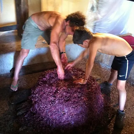 Bed and Breakfast Etna 1703