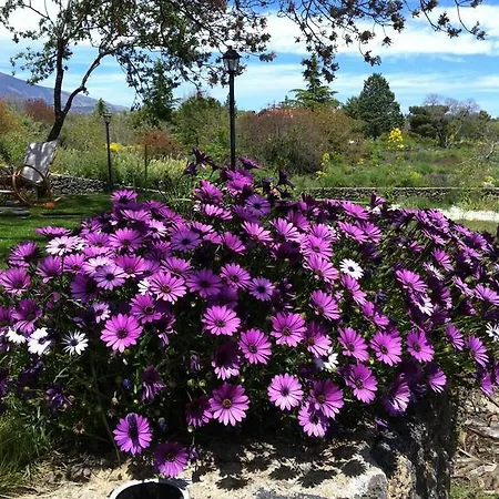 Bed & Breakfast Etna 1703