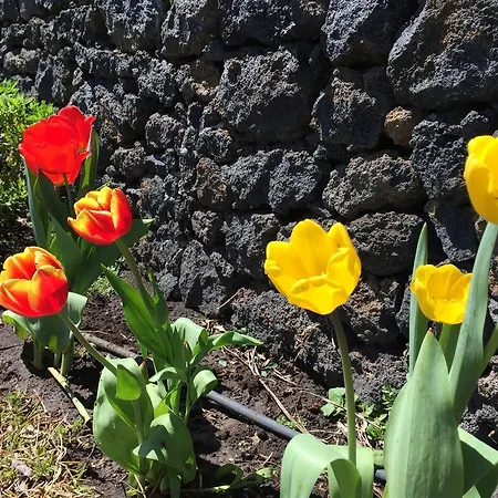 Etna 1703 Bed and Breakfast Belpasso