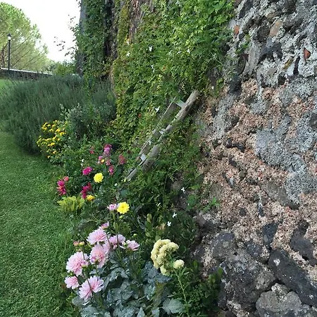 Bed and Breakfast Etna 1703 *