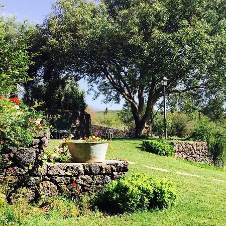 Etna 1703 Bed & Breakfast