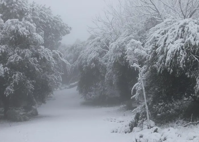 Etna 1703 Frühstückspension *