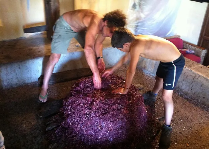 Bed & Breakfast Etna 1703